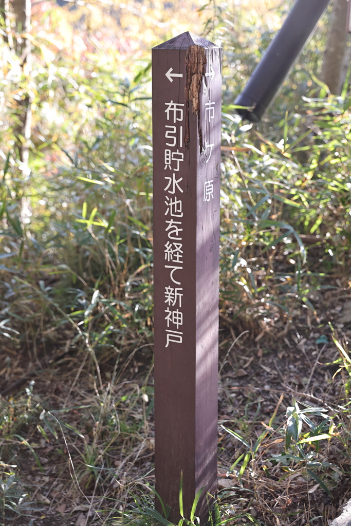 11月14日 布引の滝 １