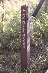 11月14日 布引の滝 １