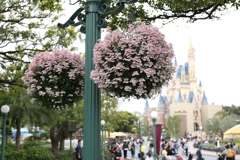 4月18日 東京ディズニー・ランド 22