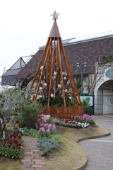 12月7日 布引ハーブ園 ５