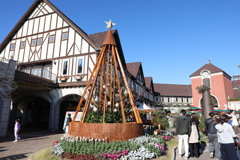 11月14日 布引ハーブ園 ４