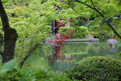 5月18日 相楽園 21