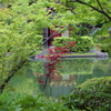5月18日 相楽園 21
