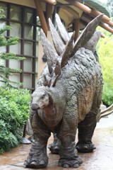 5月31日のパーク ６