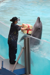 6月11日 須磨海浜水族園 17 