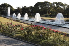 12月6日 須磨離宮公園 ４