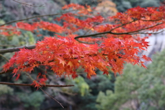 12月7日 布引の滝 25