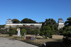 11月7日 明石公園 20