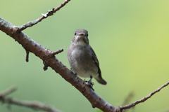 9月25日 明石公園 13