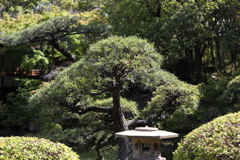5月23日 相楽園 42