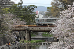 4月3日 夙川 ２
