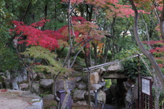 11月28日 相楽園 17