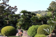 10月31日 相楽園 ２