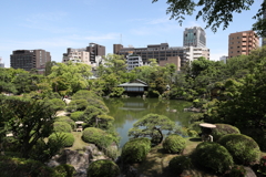 5月23日 相楽園 15