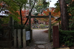 11月23日 京都 23