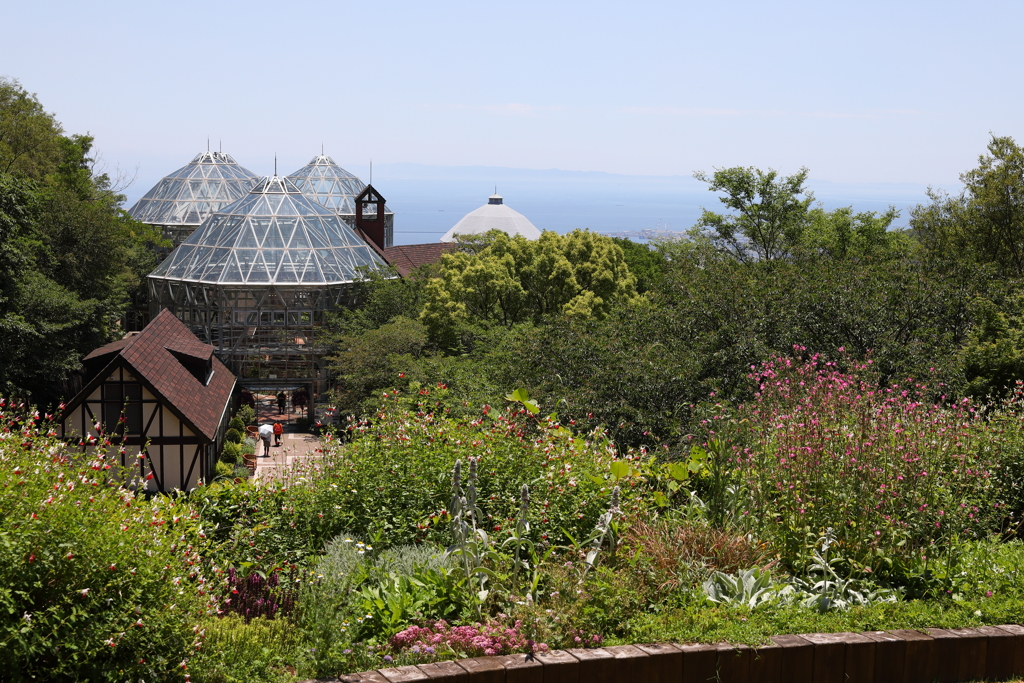 5月28日 布引ハーブ園 36