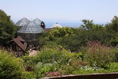 5月28日 布引ハーブ園 36