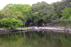 5月2日 奈良 15