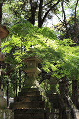 5月2日 奈良 24