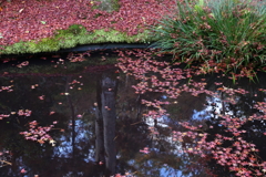 11月23日 京都 41