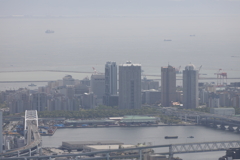 5月14日 長距離散歩 39
