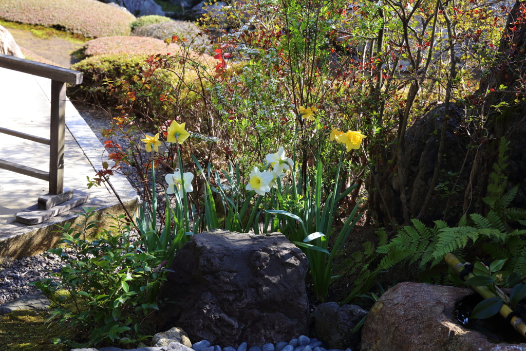 3月20日 京都嵐山 67
