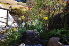 3月20日 京都嵐山 67
