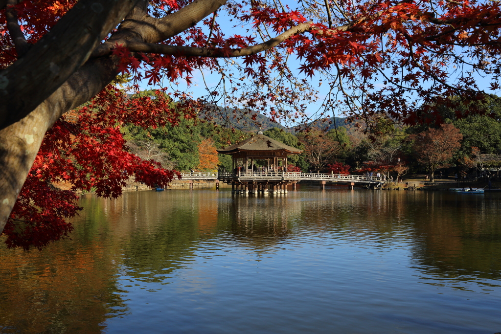 11月30日 奈良 ５