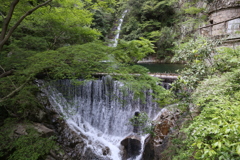 5月5日 布引の滝 10