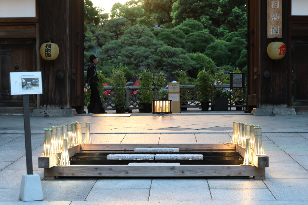 8月27日 相楽園 18