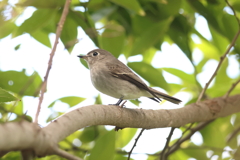 9月23日 明石公園 ３