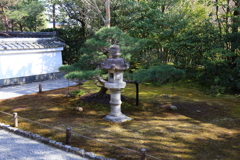 3月20日 京都嵐山 64