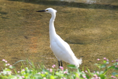 10月23日 夙川河川敷公園 21