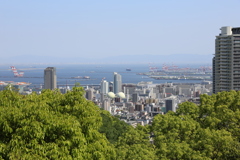 5月5日 布引の滝 ６