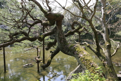 3月29日 京都 9 3月29日 京都 9