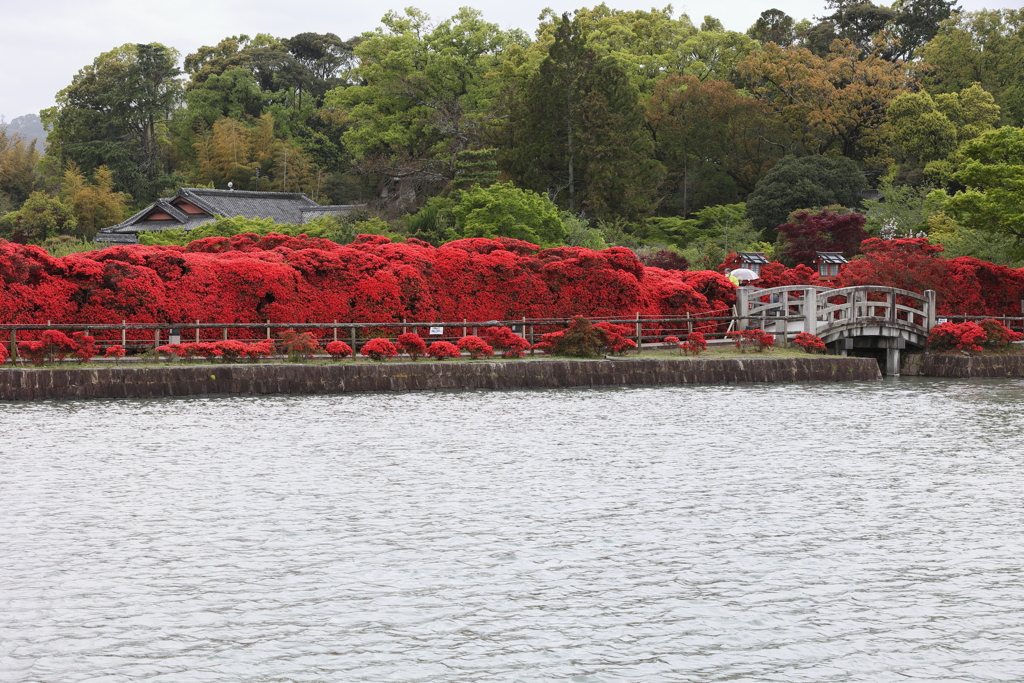 4月18日 長岡天神 10