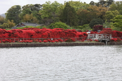 4月18日 長岡天神 10