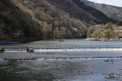 3月20日 京都嵐山 ４