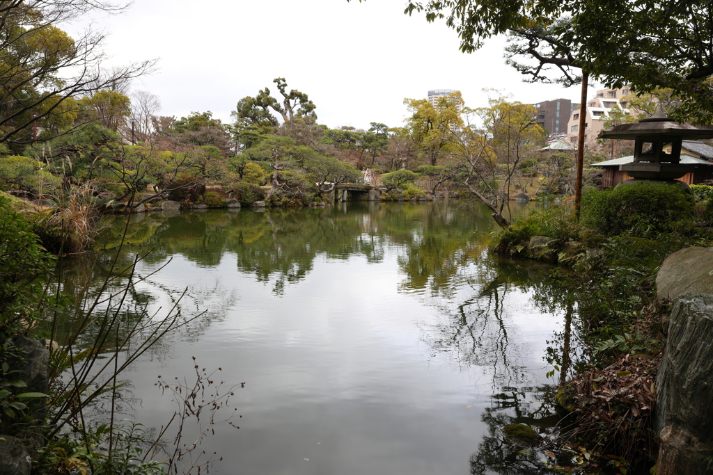 3月6日 相楽園 10