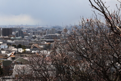 3月5日 岡本公園 ６