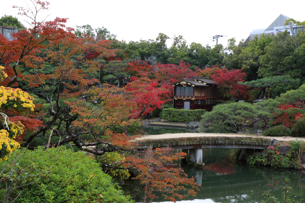 11月21日 相楽園 17