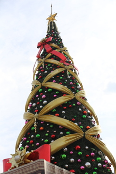 1月12日のUSJ １