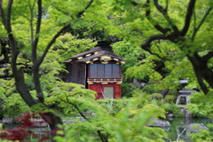 5月18日 相楽園 35