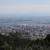 9月21日 布引ハーブ園 ２