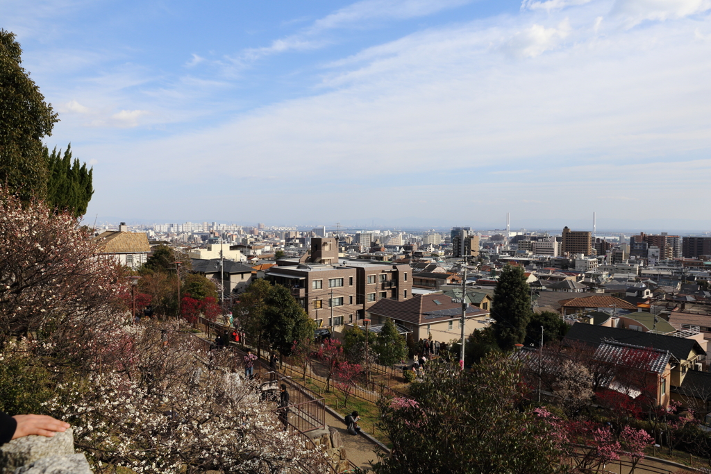 2月23日 岡本公園 ９