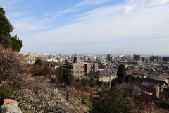 2月23日 岡本公園 ９