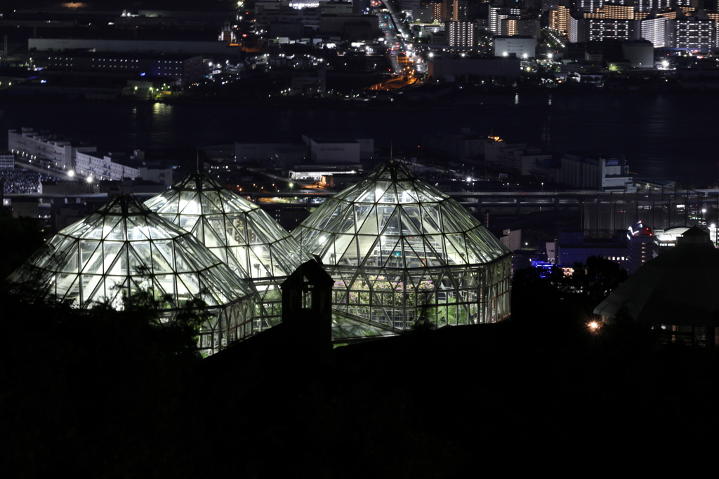8月10日 布引ハーブ園 18