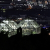 8月10日 布引ハーブ園 18