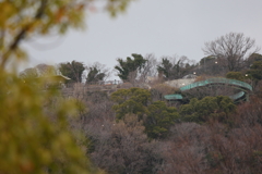 3月6日 相楽園 14