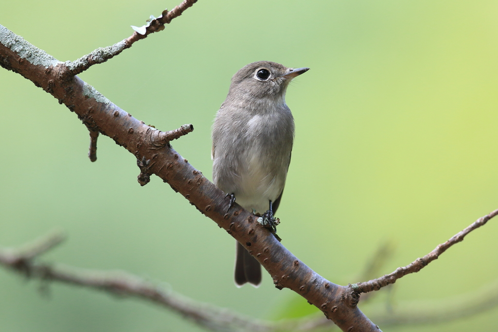 9月25日 明石公園 14